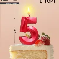 Свеча в торт на шпажке &laquo;Цифра 5&raquo;, красная, 5 см