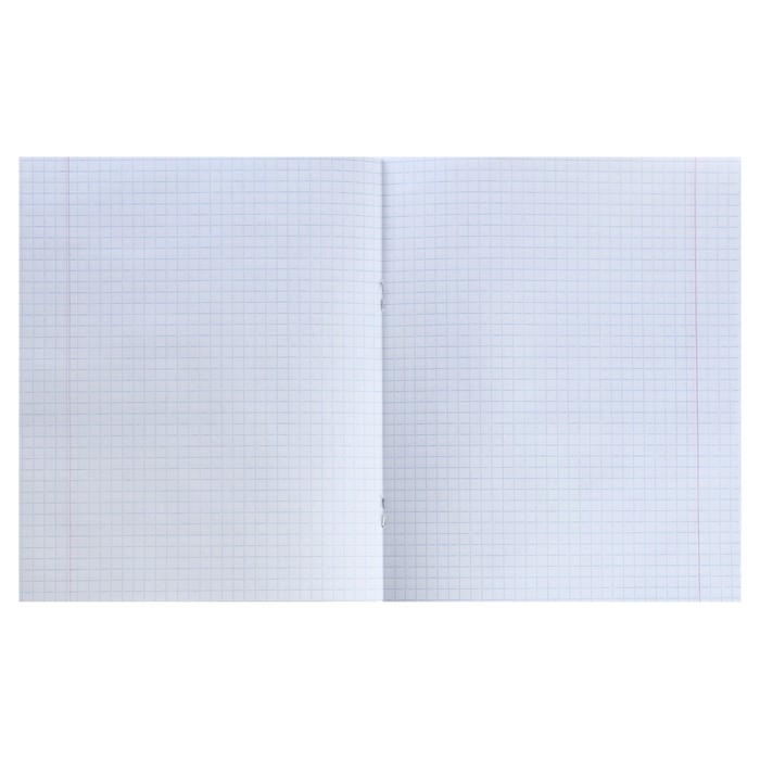 Комплект тетрадей из 20 штук, 18 листов в клетку КПК Комплект тетрадей из 20 штук, 18 листов в клетку КПК "Зелёная обложка", блок офсет, белизна 90-95%