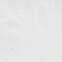 Салфетки бумажные 2сл 24х24см с тиснением белые целлюлоза 250шт/уп_Спб