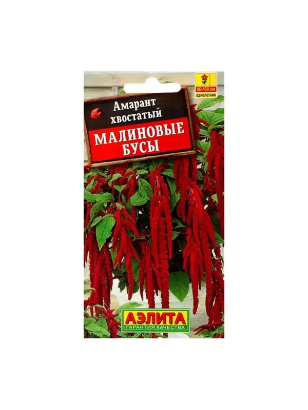 Набор семян Амарант "Малиновые бусы", О, 5 шт.