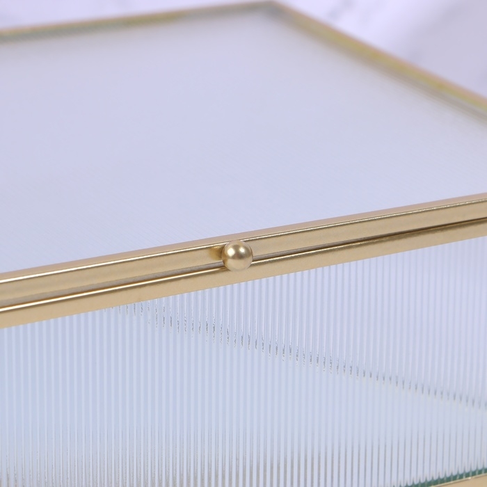 Органайзер для хранения «RIPPLES», с крышкой, стеклянный, с зеркальным дном, 1 секция, 20 × 16 × 6,5 см, цвет прозрачный/медный Органайзер для хранения «RIPPLES», с крышкой, стеклянный, с зеркальным дном, 1 секция, 20 × 16 × 6,5 см, цвет прозрачный/медный