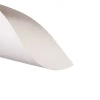 Картон белый А4 Calligrata, 8 листов, мелованный, 230-240г/м², картонная обложка, в папке