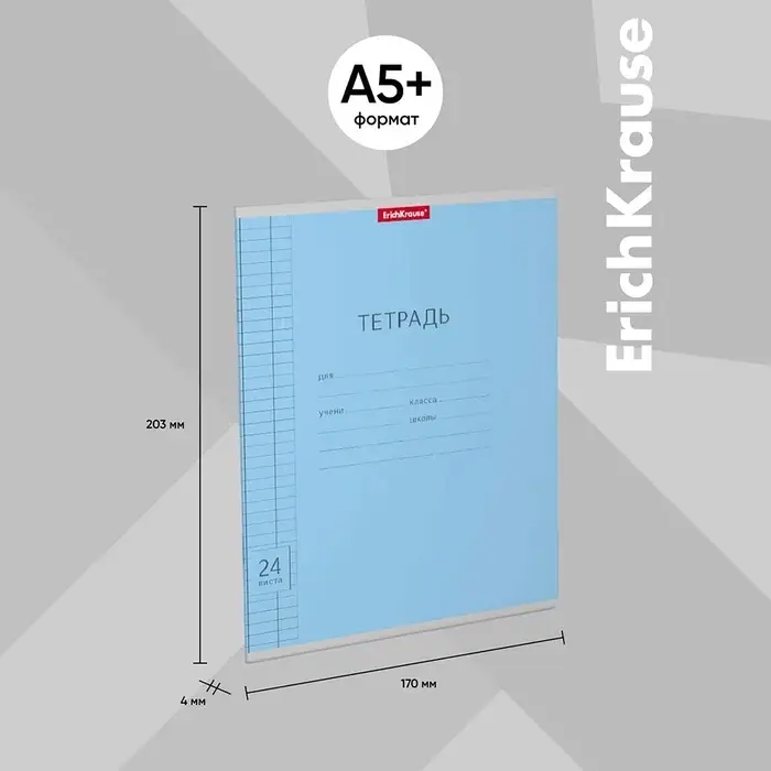Тетрадь 24 листа в клетку, ErichKrause «Классика Visio», обложка мелованный картон, МИКС