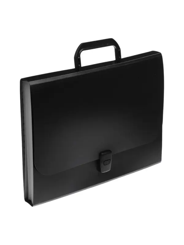 Папка-портфель А4, 12 отделений, 600 мкм, ErichKrause Matt Classic, до 350 листов, чёрная