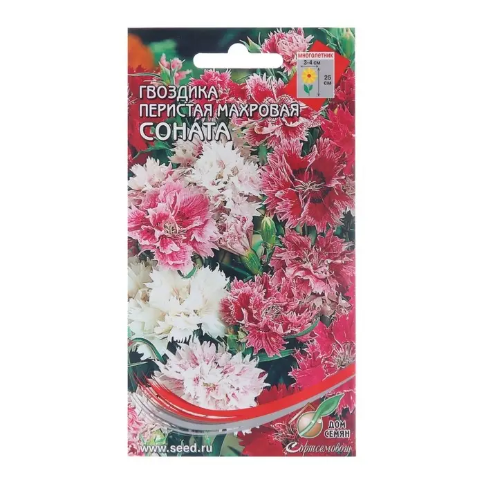 Семена цветов Гвоздика Семена цветов Гвоздика "Соната" перист.махр, 50 шт