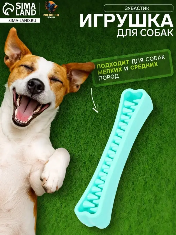 Игрушка-зубочистка для собак Пижон Premium &laquo;Зубастик&raquo;, 18.3&times;3.8 см, цвет мятный