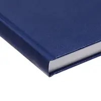 Ежедневник датир 2026г А5 168л б/вин Синий Ежедневник датир 2026г А5 168л б/вин Синий