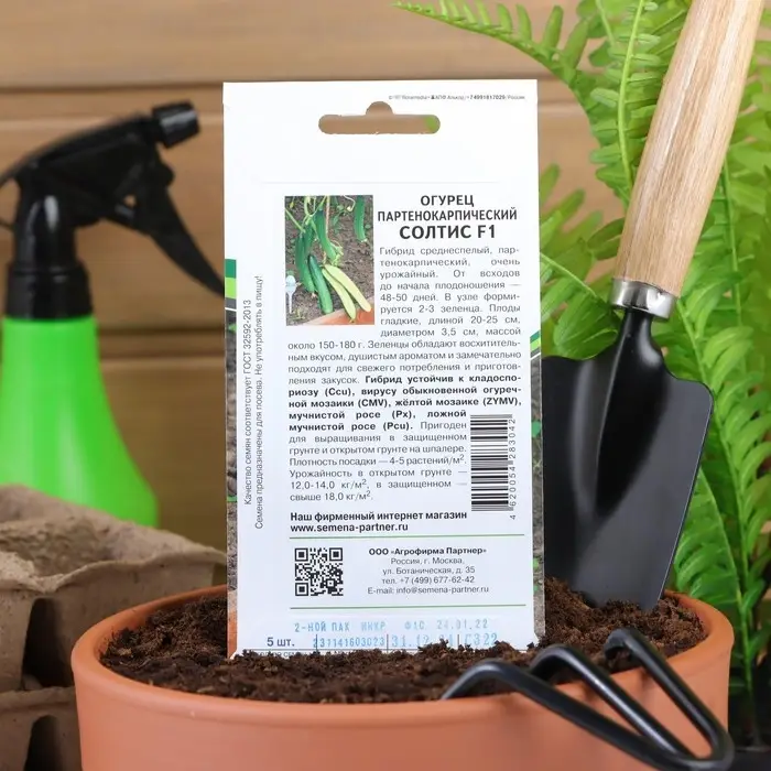 Семена огурца Семена огурца "Солтис", F1, 5 шт.