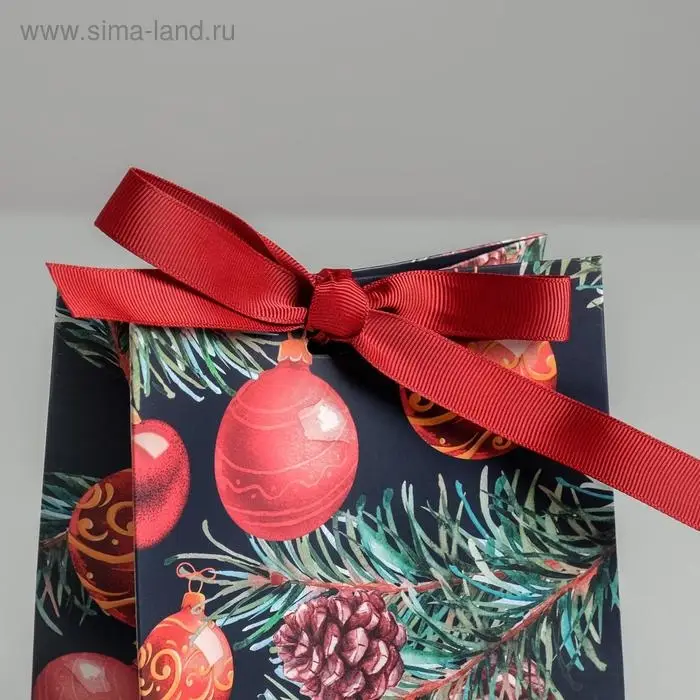 Пакет подарочный новогодний с лентой «Ёлочные игрушки», 13 х 19 х 9 см Пакет подарочный новогодний с лентой «Ёлочные игрушки», 13 х 19 х 9 см