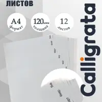 Набор разделителей листов А4 Office-2000, по месяцам ЯНВ-ДЕК, 12 листов, серые, пластик 120 мкм