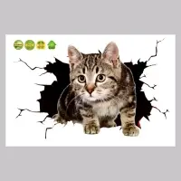 Наклейка интерьерная 3Д TAKE IT EASY &laquo;Котик&raquo;, 30&times;20 см