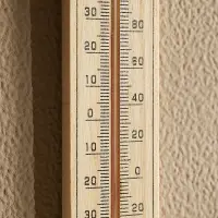 Термометр Классик малый тм VETTA, 20х4см, дерево