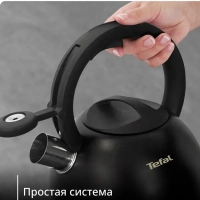 Чайник Kettle ss induction N4180417, для всех видов плит