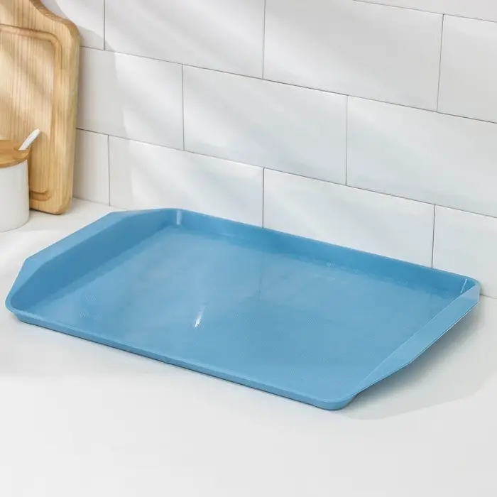 Поднос Петропласт &laquo;Дональд&raquo;, пластик, 43&times;30 см, МИКС