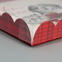 Коробка для кондитерских изделий с пластиковой крышкой «С Новым годом!», 21×21×3 см