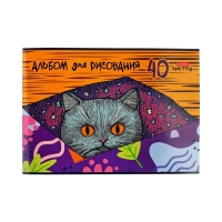 Альбом д/рис А4 40л на скобе Hatber "Котофей", обл мел карт, офсет, 5В МИКС
