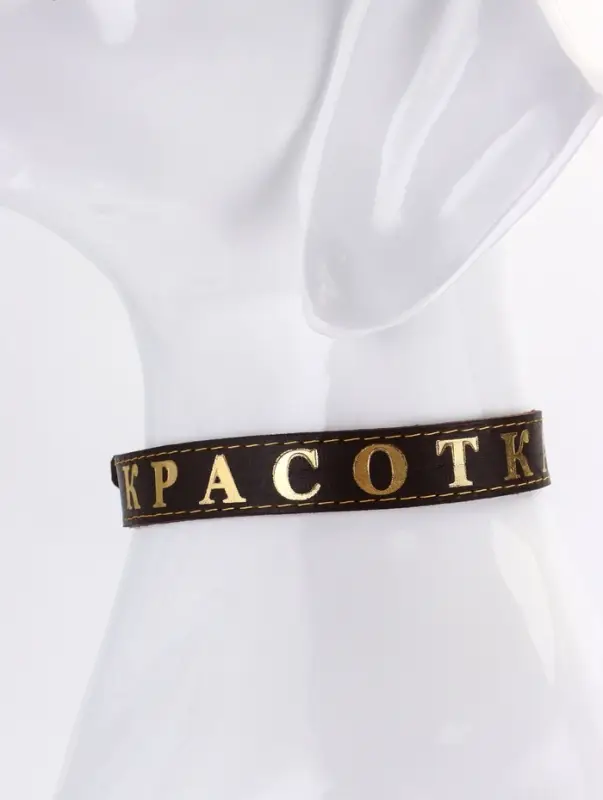 Ошейник &laquo;Красотка&raquo;, 60&times;2.5 см, однослойный, тиснение фольгой, кожа, цвет МИКС