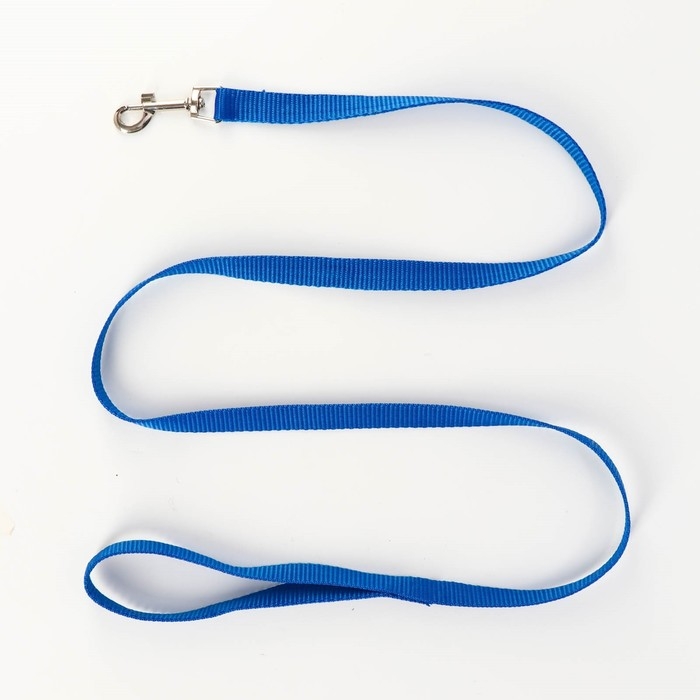 Комплект Комплект "Базис", поводок 120 х 1,5 см, шлейка 32-46 х 1,5 см, синий