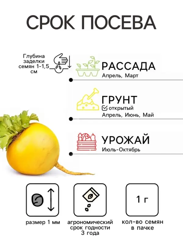 Семена Репа "Русская Сказка", ц/п,  среднеранняя, ц/п, 1 г