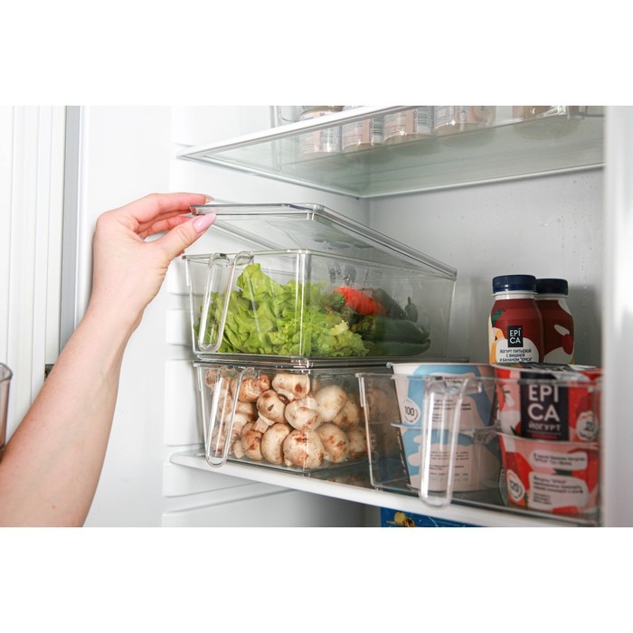 Контейнер для холодильника с крышкой и ручкой RICCO, 32×14,5×10 см