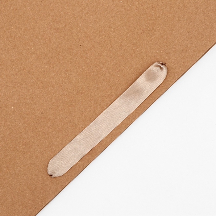 Пакет крафт без печати, 40 х 12 х 28 см 260 г/м2 Пакет крафт без печати, 40 х 12 х 28 см 260 г/м2