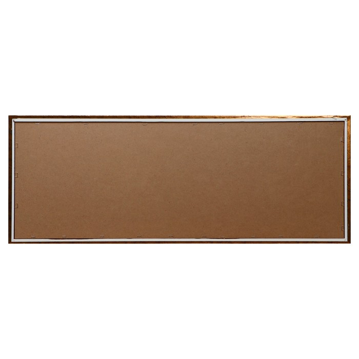 Картина  Картина "Цветущая орхидея" 42*106 см