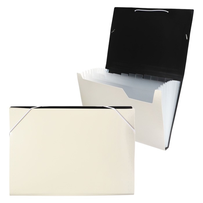 Папка картотека А4, Calligrata TOP DeLuxe, 13 отделений, пластиковая, 1000 мкм, молочная Папка картотека А4, Calligrata TOP DeLuxe, 13 отделений, пластиковая, 1000 мкм, молочная