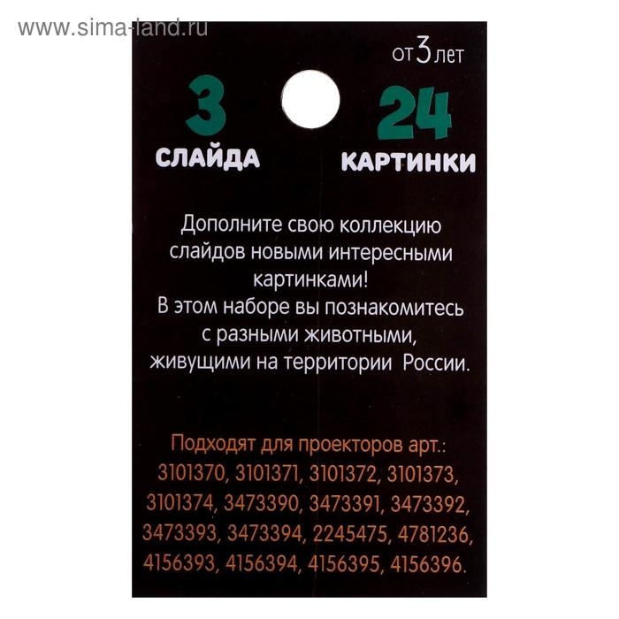 Слайды для проектора «Животные России», набор, 3 слайда, 24 картинки Слайды для проектора «Животные России», набор, 3 слайда, 24 картинки