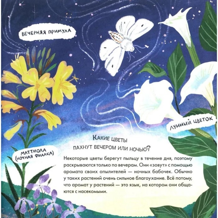 Книжка «Где моя звёздочка?», Мироненко А. Книжка «Где моя звёздочка?», Мироненко А.