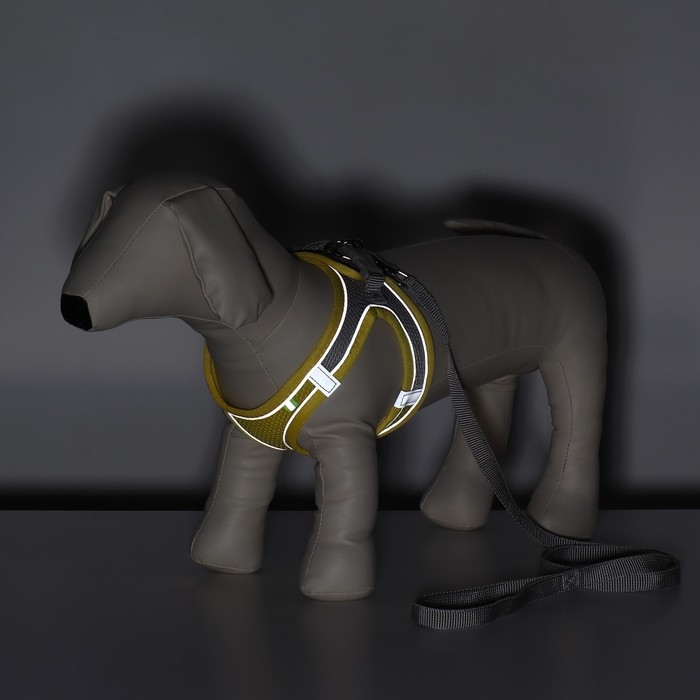 Комплект с мягкой шлейкой, быстросъемный, M, поводок 150 х 1,5 см, ОШ 38-44 см, ОГ 44-50 см, жёлтый Комплект с мягкой шлейкой, быстросъемный, M, поводок 150 х 1,5 см, ОШ 38-44 см, ОГ 44-50 см, жёлтый