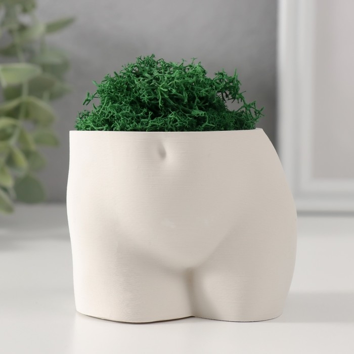 Сувенир  Сувенир "Невинный вид" со мхом высота 6,5см, ширина 8,5см белый (мох зелен. стабилиз)