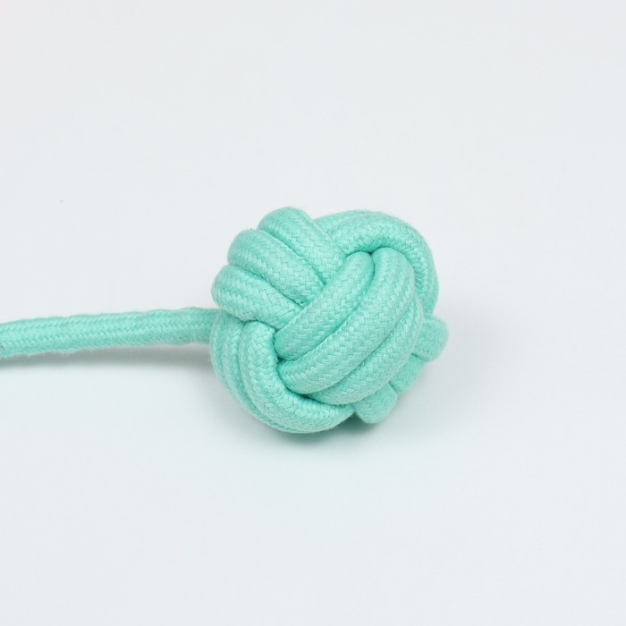 Игрушка канатная с зубочисткой и мячом Игрушка канатная с зубочисткой и мячом "Хлыст", до 55 см, до 160 г, розовая/мятная