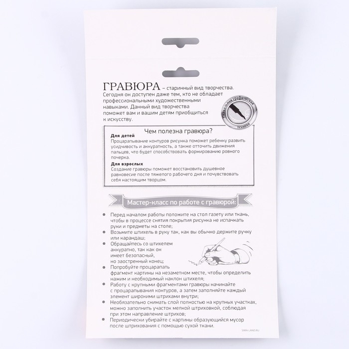 Гравюра «Лошадь» с металлическим эффектом серебра А5