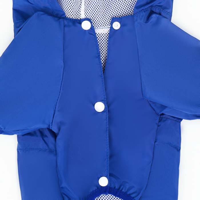 Комбинезон для собак, демисезонный с подкладом, размер S (ДС 25, Ог 37см), синий Комбинезон для собак, демисезонный с подкладом, размер S (ДС 25, Ог 37см), синий