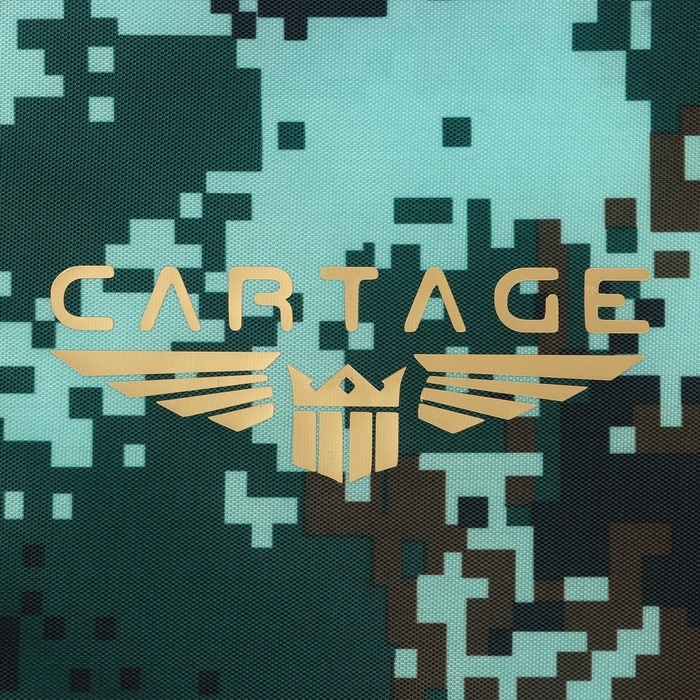 Термосумка Cartage Т-19, камуфляж пиксель, 10 л, 26х19х19 см Термосумка Cartage Т-19, камуфляж пиксель, 10 л, 26х19х19 см