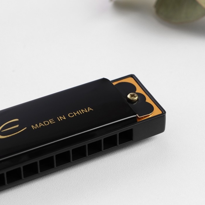 Губная гармошка Bee DF16A Black, 16 отверстий Губная гармошка Bee DF16A Black, 16 отверстий