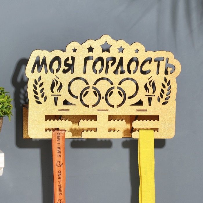 Медальницы с полкой  Медальницы с полкой "Мои гордость" светлое дерево, 19х29 см