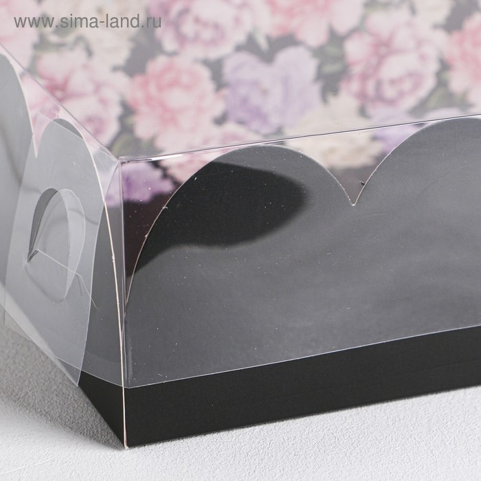 Коробка для печенья, кондитерская упаковка с PVC крышкой, Present, 20 х 30 х 8 см Коробка для печенья, кондитерская упаковка с PVC крышкой, Present, 20 х 30 х 8 см