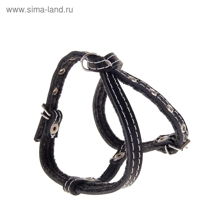 Шлейка кожаная на фетре, регулируемая многоразмерная, ОШ 22-30 см, ОГ 28-36 см, 1,2 см, микс Шлейка кожаная на фетре, регулируемая многоразмерная, ОШ 22-30 см, ОГ 28-36 см, 1,2 см, микс