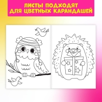 Раскраски детские набор «Для девочек», 8 шт. по 12 стр.