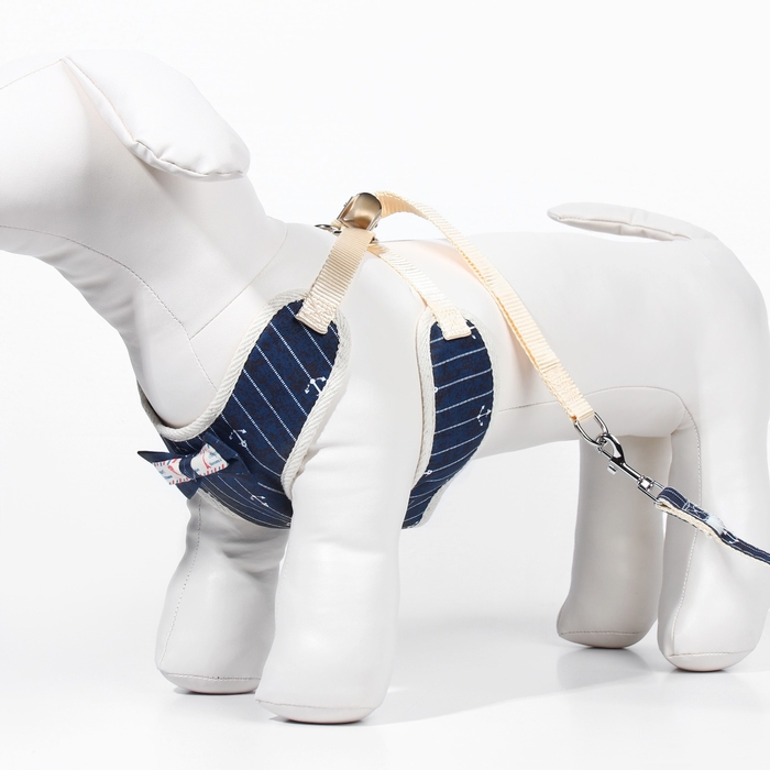 Комплект с мягкой шлейкой  Комплект с мягкой шлейкой "Якорь", размер L, поводок 120 х 1,5 см, ОГ 42-76 см, синий