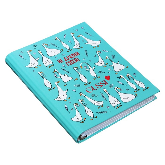 Тетрадь на кольцах А5 160 листов в клетку Тетрадь на кольцах А5 160 листов в клетку "Gussi", твёрдая обложка, глянцевая ламинация