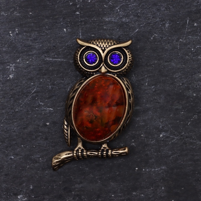 Брошь Брошь "Сова", латунь, янтарь