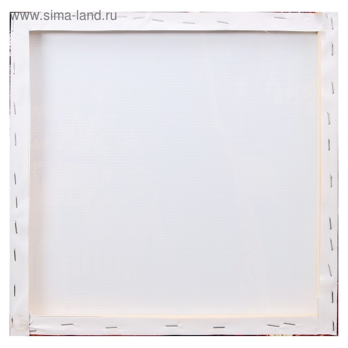 Модульная картина  Модульная картина "Веточка орхидеи" (3-35х35) 35х105 см