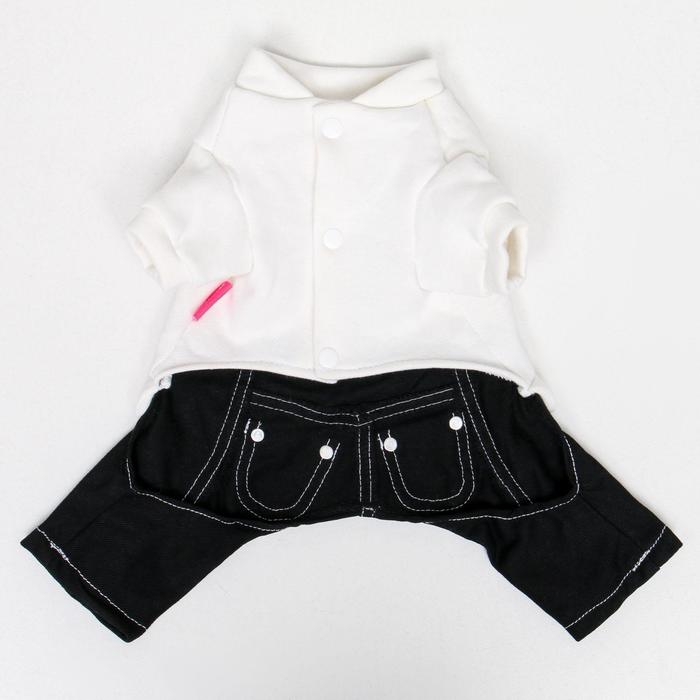 Комбинезон Комбинезон "Единорог", размер 16 (ДС 36 см, ОГ 46 см, ОШ 35 см), бело-синий