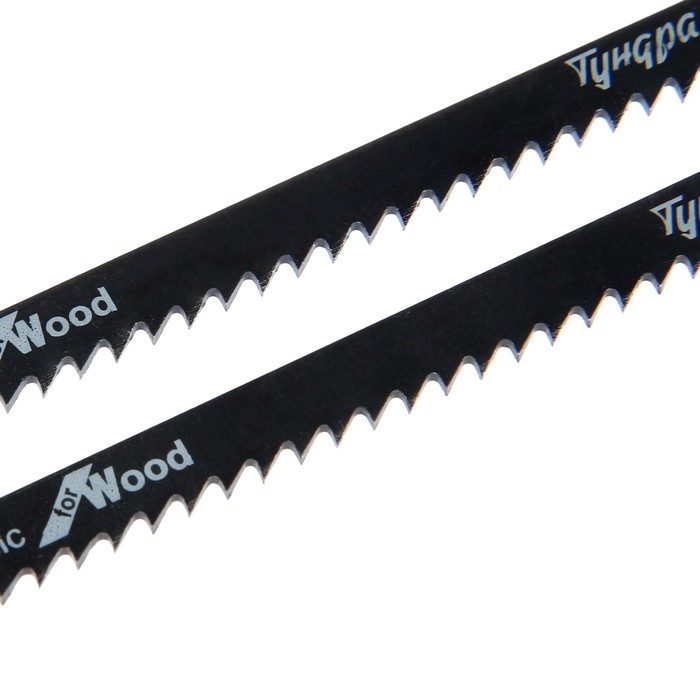 Пилки для лобзиков ТУНДРА, по дереву, прямой грубый рез, HCS, 100/125 х 3 мм, 2 шт. Пилки для лобзиков ТУНДРА, по дереву, прямой грубый рез, HCS, 100/125 х 3 мм, 2 шт.