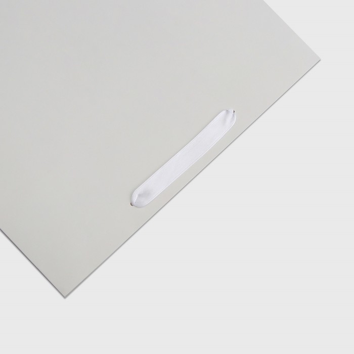 Пакет ламинированный «Белый», ML 23 × 27 × 11.5 см