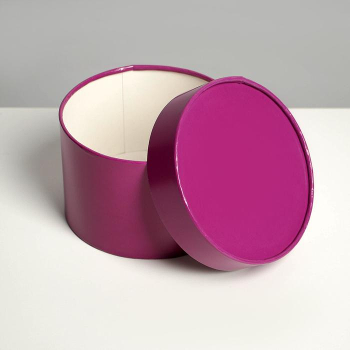 Набор шляпных коробок 3 в 1 фиолетовый, упаковка подарочная, 16 х 10, 14 х 9, 13 х 8,5 см Набор шляпных коробок 3 в 1 фиолетовый, упаковка подарочная, 16 х 10, 14 х 9, 13 х 8,5 см