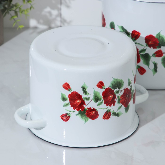 Набор эмалированных кастрюль «Рамо», 2 предмета: 3,5 л, 5,5 л Набор эмалированных кастрюль «Рамо», 2 предмета: 3,5 л, 5,5 л