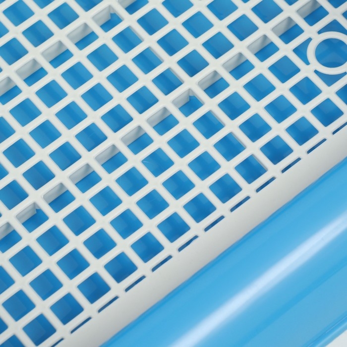 Туалет для собак с высокими бортами и съемной сеткой 43х43х15 см, голубой Туалет для собак с высокими бортами и съемной сеткой 43х43х15 см, голубой